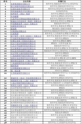 2009年中國軟件服務(wù)外包企業(yè)競爭力排名與分析